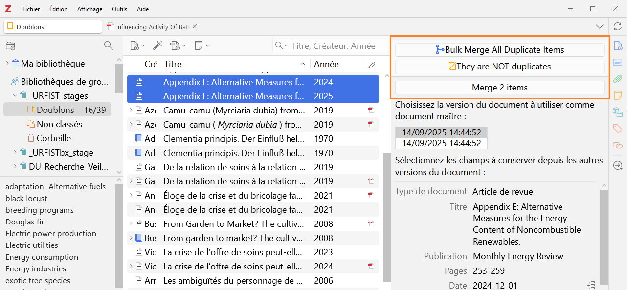 Interface de dédoublonnage : les options de Zoplicate